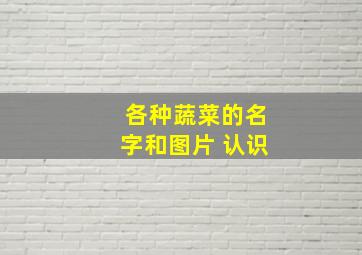 各种蔬菜的名字和图片 认识